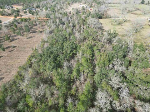 Secluded Wooded Acreage in Pace, FL