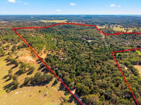 Ag-Exempt Ranch Land with Pond