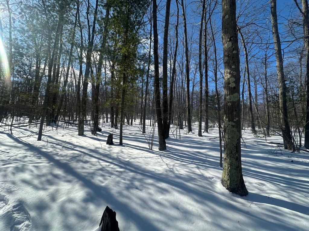 Picture 18