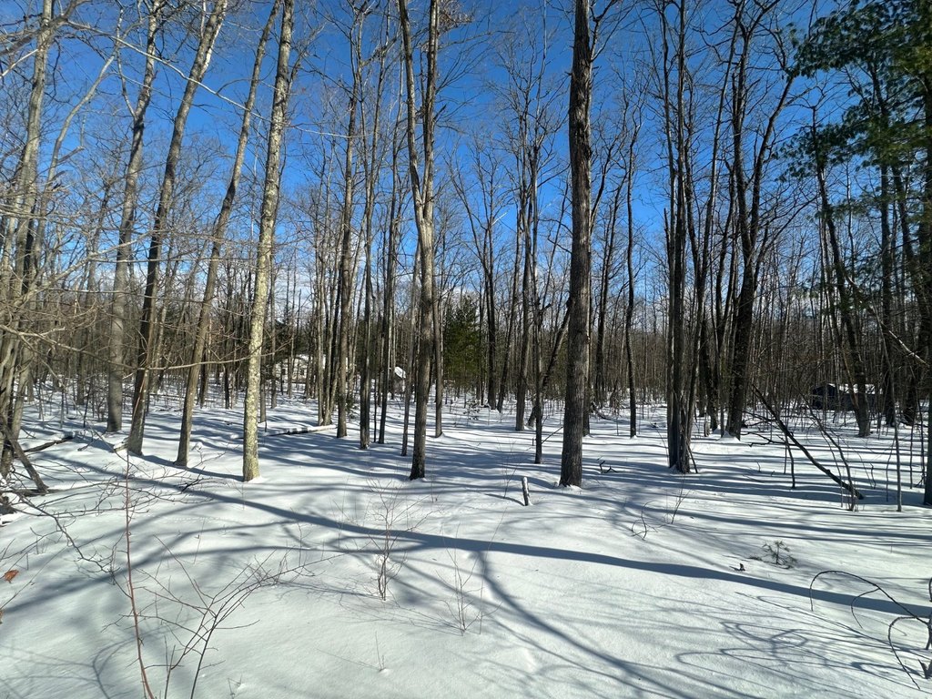 Picture 12