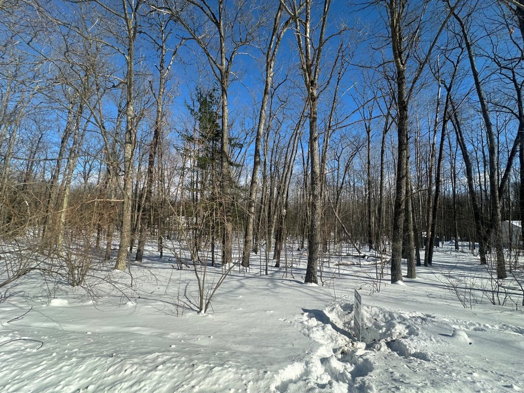 Picture 9