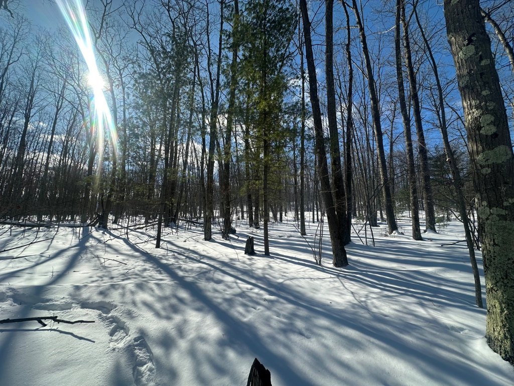 Picture 17