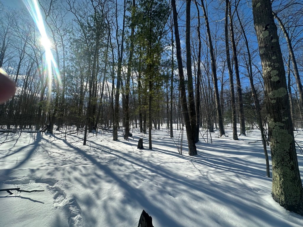 Picture 16