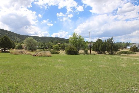 LAND - Colorado City, CO