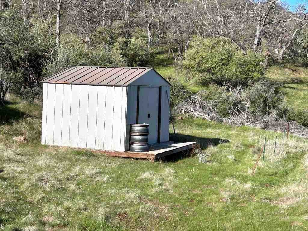 Picture 8