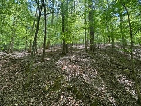 Wooded Recreation Land Lot