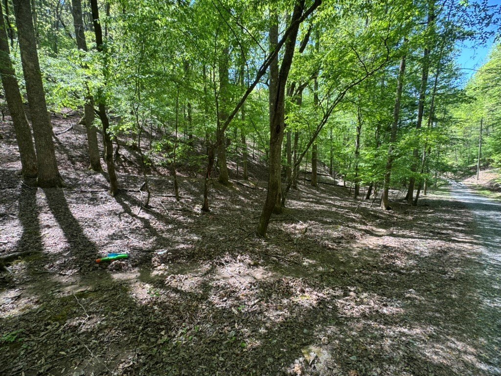 Picture 7