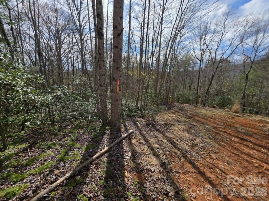Picture 8