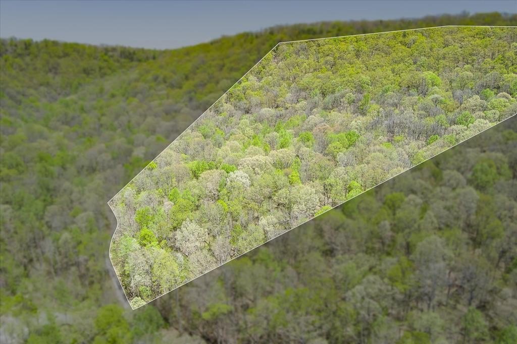 Jamestown, TN Wooded Land Parcel
