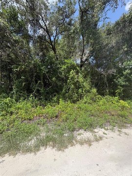 Land, NEW PORT RICHEY, FL