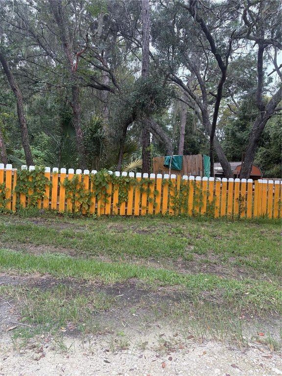 Picture 3
