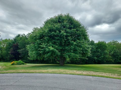 Land, Thomaston, ME
