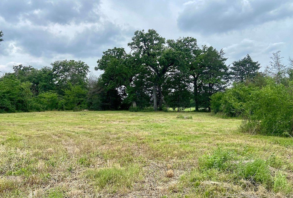 Caldwell Acreage with Mature Trees