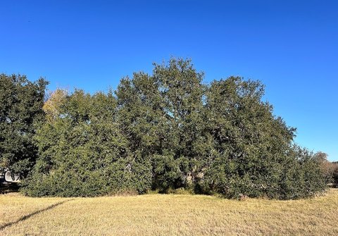 Caldwell Acreage with Mature Trees