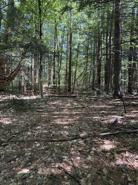 LAND - Holderness, NH