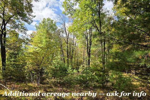 Pembine, WI Vacant Land