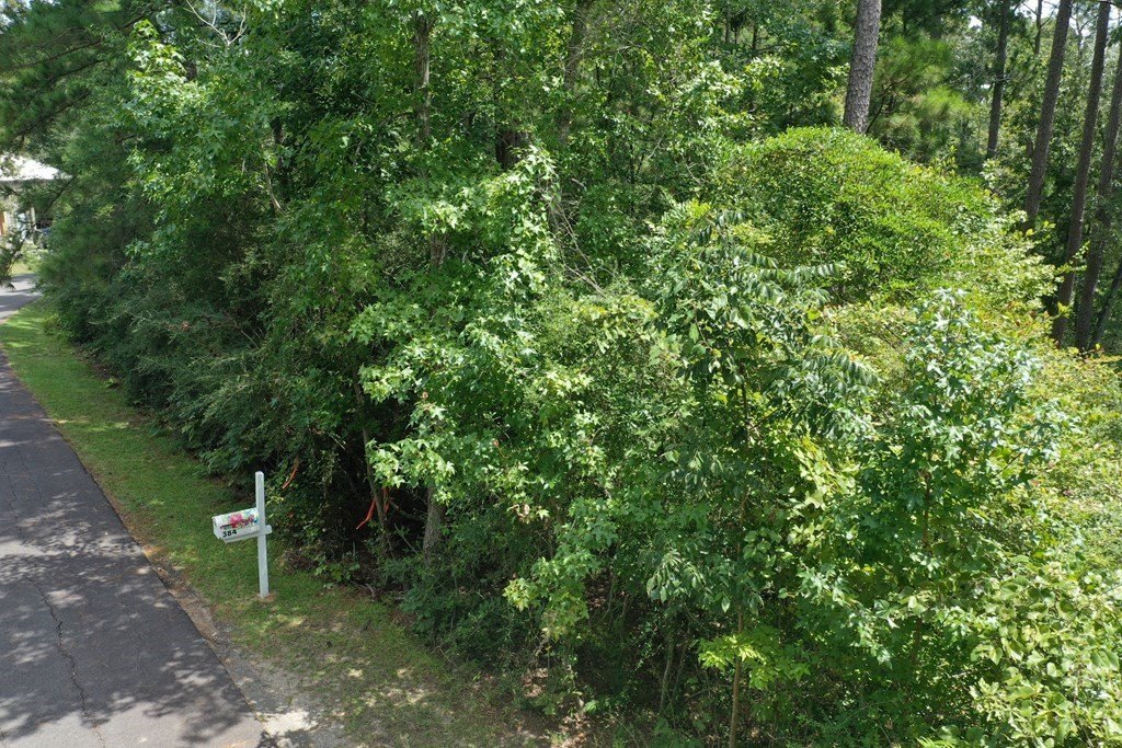 Picture 10