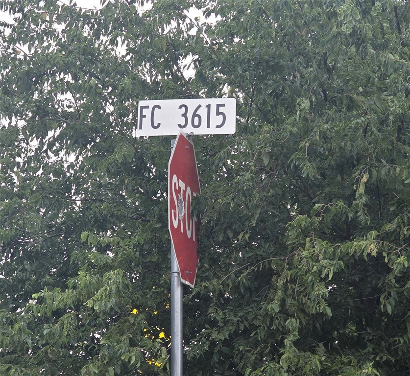 Picture 8