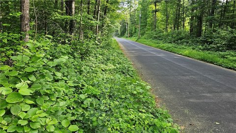 Hayward Land Near Recreational Lakes
