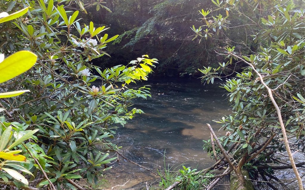 Picture 4