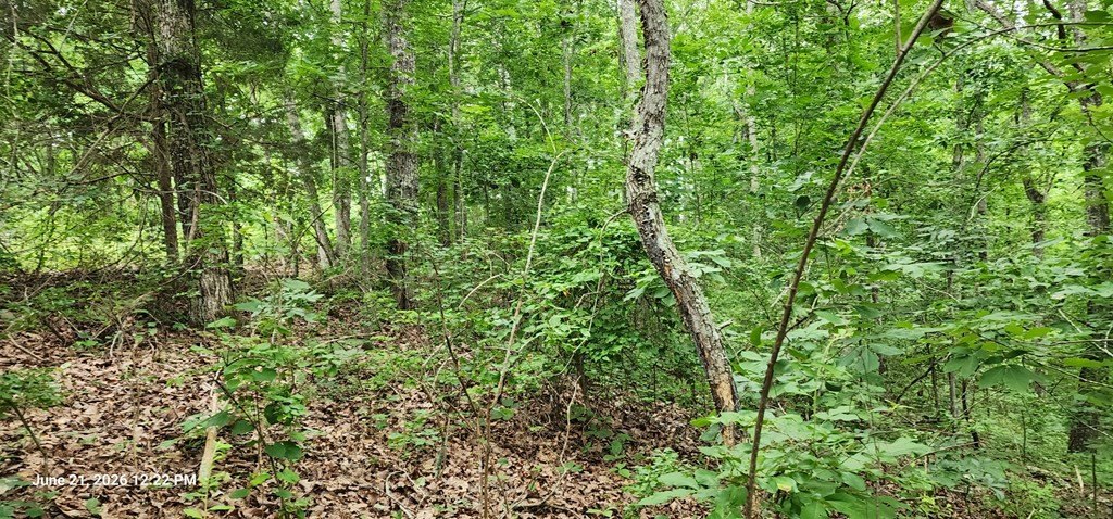 Picture 4