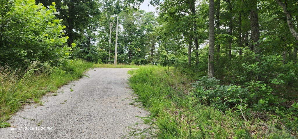 Picture 17