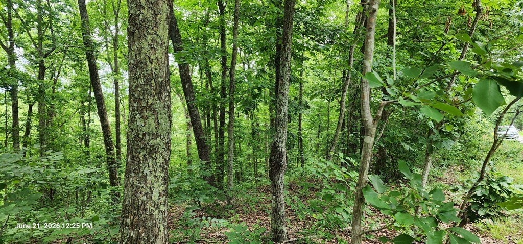 Picture 14