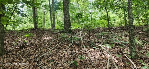 LAND - HOLLADAY, TN