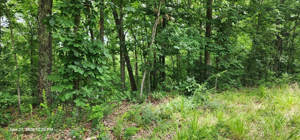 Picture 15