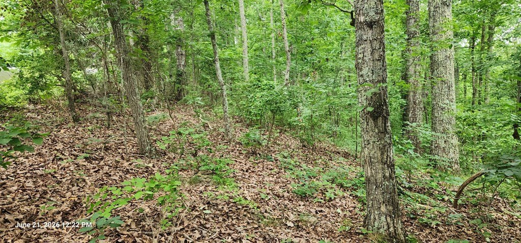 Picture 3
