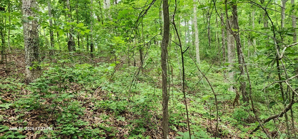 Picture 7