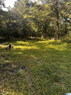 LAND - COLUMBIANA, AL