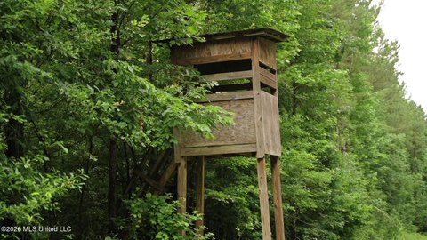 Hazlehurst Land For Sale