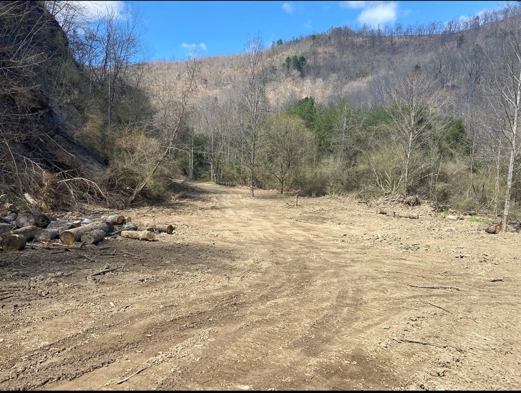 Picture 14