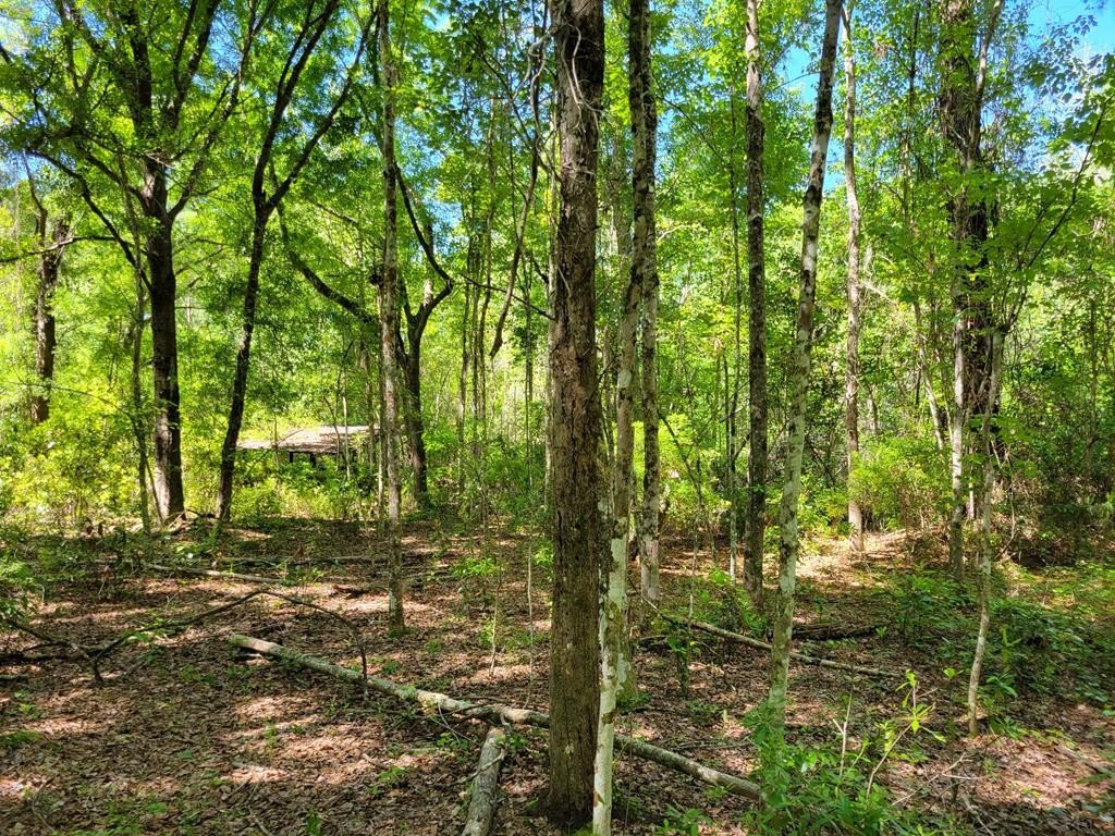 Picture 15
