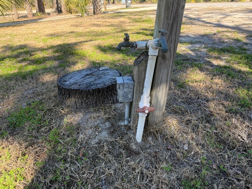 Picture 11