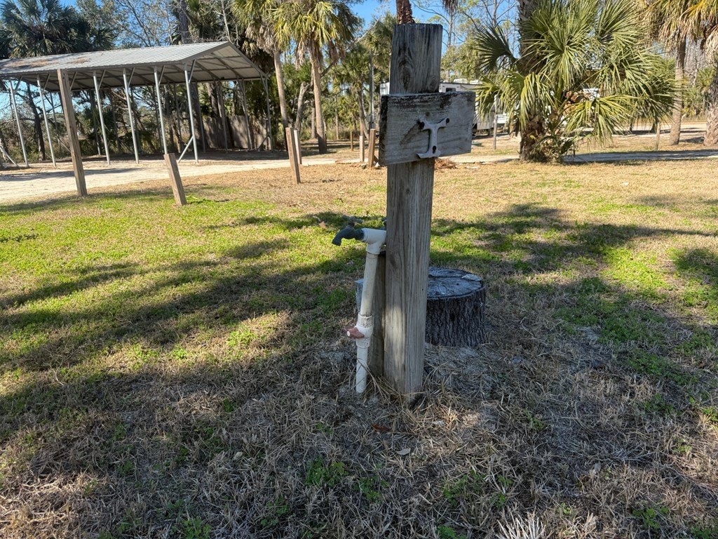 Picture 10