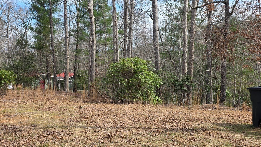 Picture 3