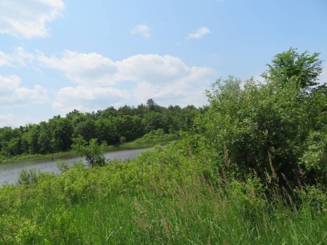 Picture 2
