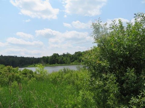 9.94 Acres Vacant Land