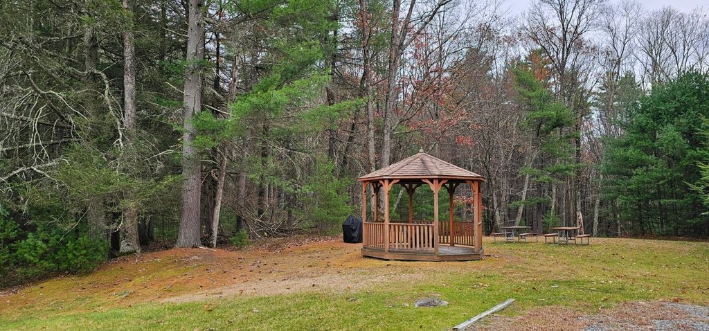 Picture 10