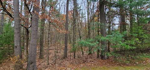 Eldred Vacant Land For Sale