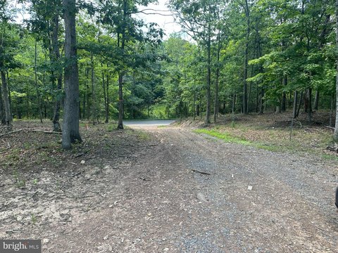 Land, MOUNT JACKSON, VA