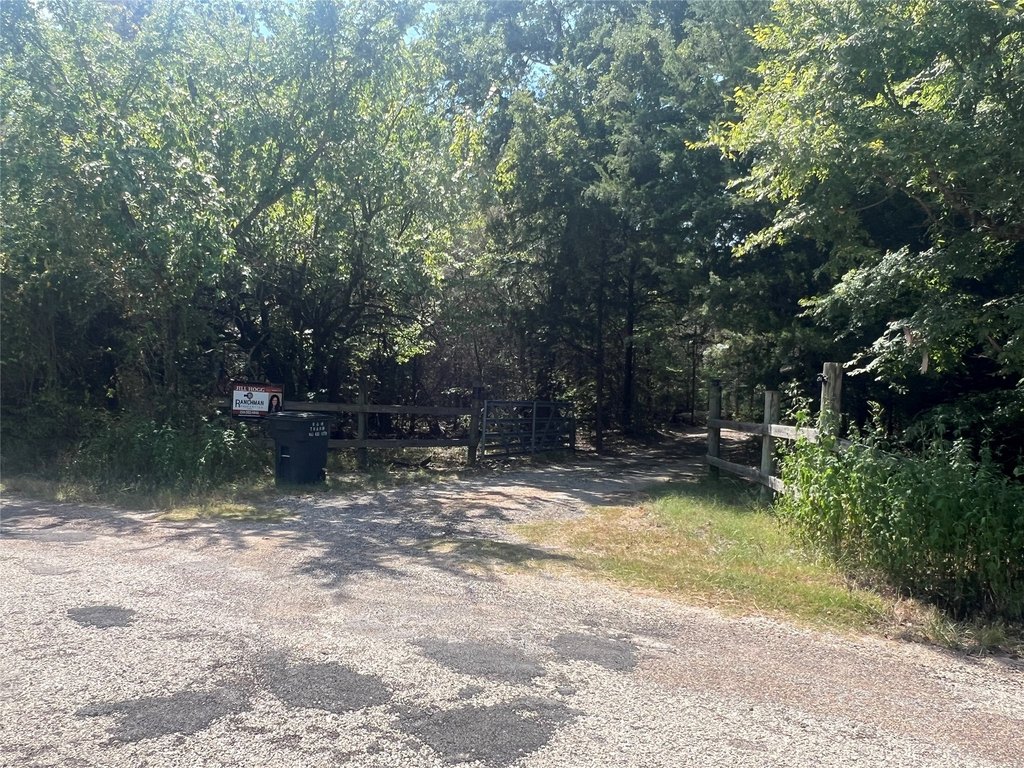 Picture 15
