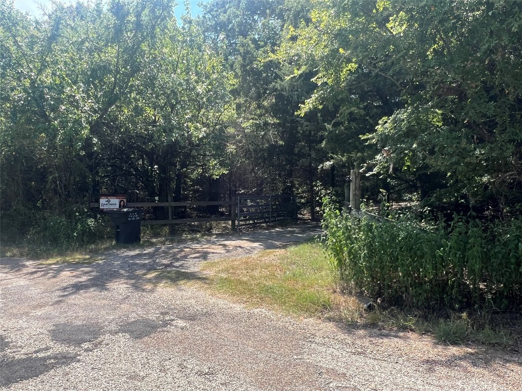Picture 14