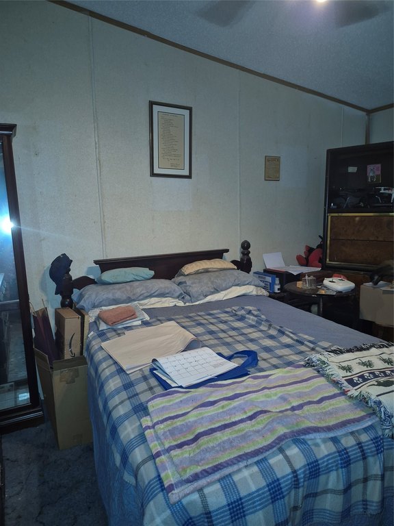 Picture 24