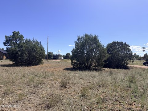 Residential Mountain Home Lot