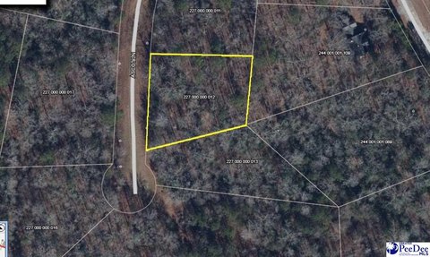 LAND - Cheraw, SC
