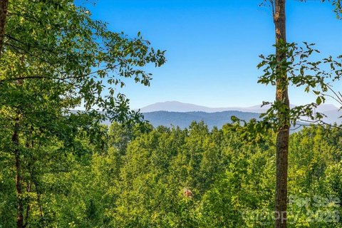 Land, Nebo, NC