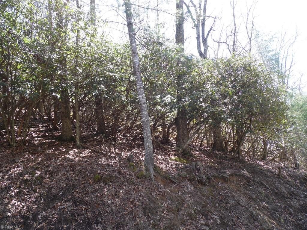Picture 7